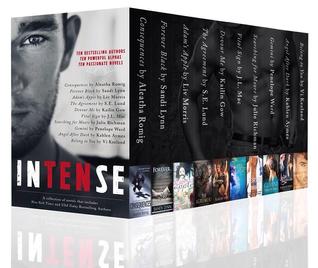 inTENse: A Collection of 10 Full Length Erotic Romance Bestsellers by Kahlen Aymes, Kailin Gow, Liv Morris, Penelope Ward, Aleatha Romig, S.E. Lund, J.L. Mac, Vi Keeland, Julie A. Richman, Sandi Lynn