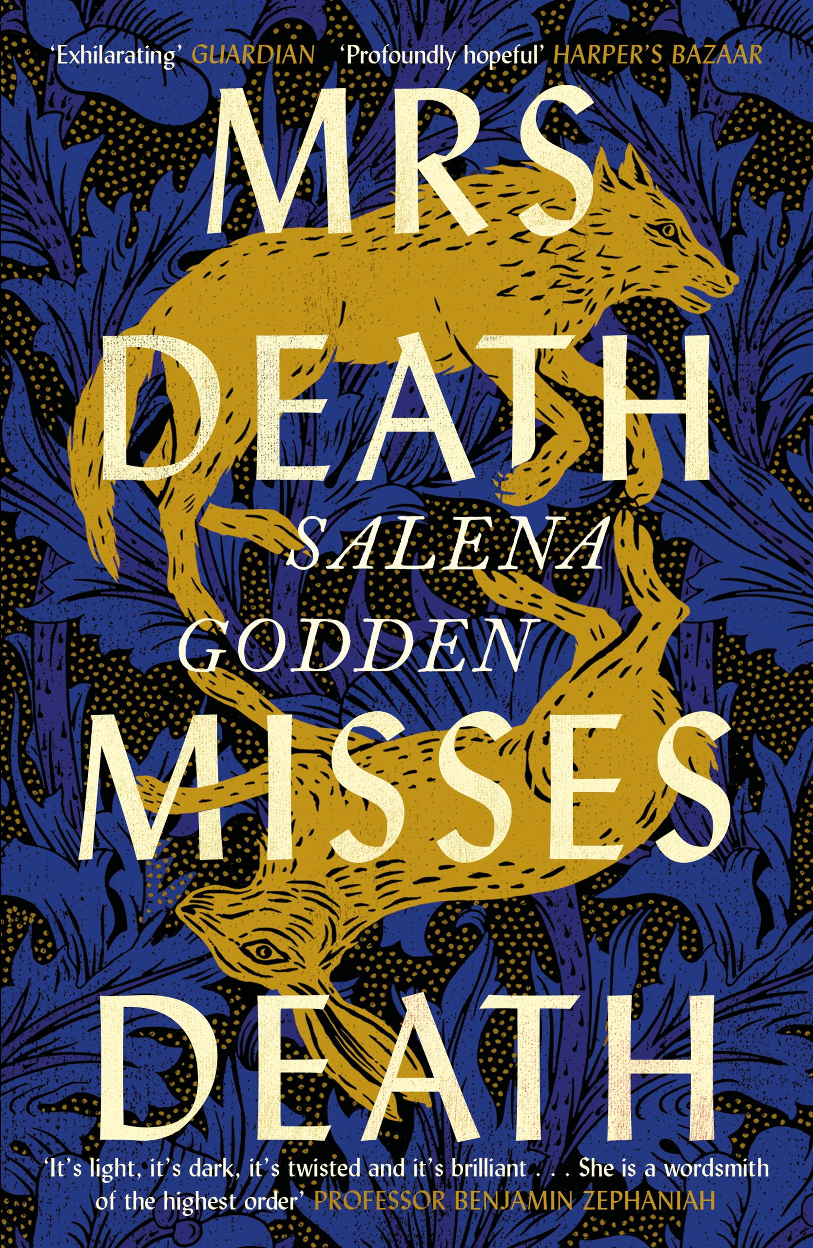 Mrs Death Misses Death by Salena Godden