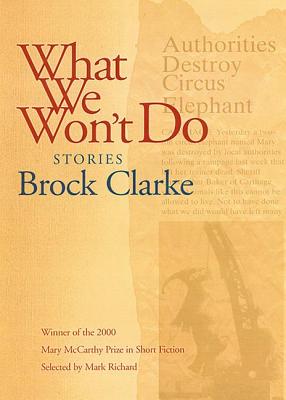 What We Won't Do: Stories by Brock Clarke