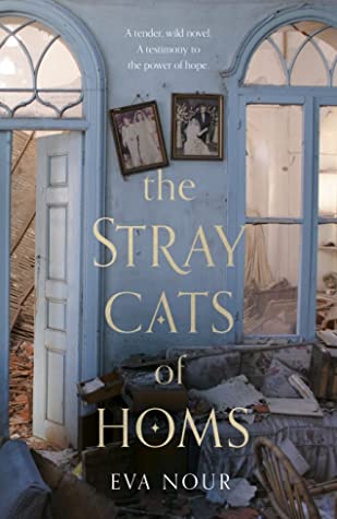 The Stray Cats of Homs by Agnes Broomé, Eva Nour