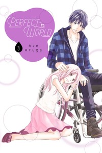 Perfect World, Volume 3 by Rie Aruga