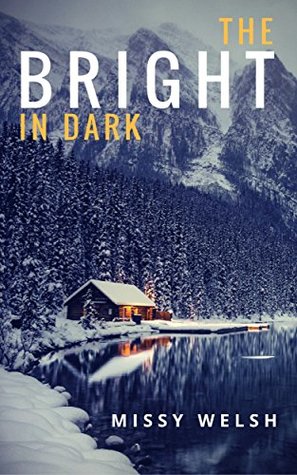 The Bright In Dark by Missy Welsh