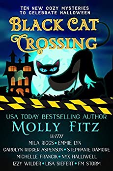 Black Cat Crossing: A Collection of 11 Cozy Mysteries to Celebrate Halloween by Mila Riggs, Stephanie Damore, Lisa Siefert, Molly Fitz, Emmie Lyn, Izzy Wilder, S.E. Babin, Nyx Halliwell, Carolyn Ridder Aspenson, Michelle Francik