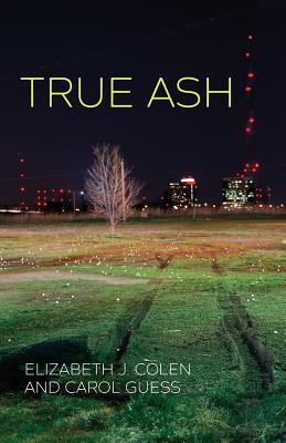 True Ash by Elizabeth J Colen, Carol Guess