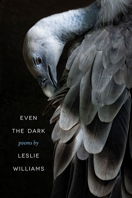 Even the Dark by Leslie Williams