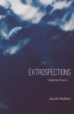 Extrospections by Jacob Haddon