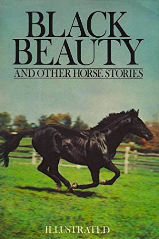 Black Beauty & Other Horse Stories by Paul J. Horowitz, Lily Owens