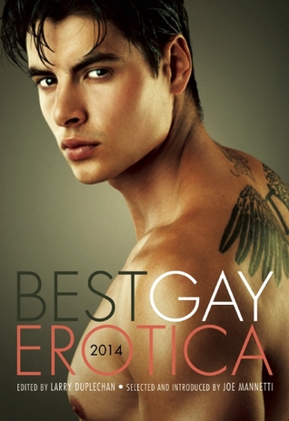 Best Gay Erotica 2014 by K. Lynn, Larry Duplechan, Lee Hitt