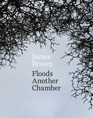 Floods Another Chamber by James Brown