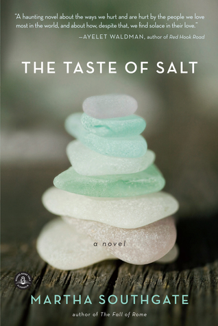 The Taste of Salt by Martha Southgate