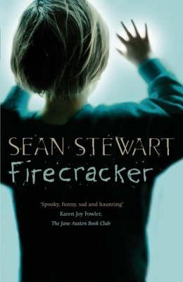 Firecracker by Sean Stewart