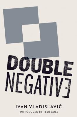 Double Negative by Ivan Vladislavic