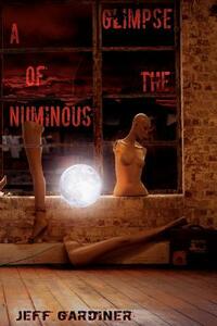 A Glimpse of the Numinous (Paperback) by Jeff Gardiner