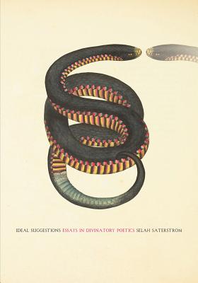 Ideal Suggestions: Essays in Divinatory Poetics by Selah Saterstrom