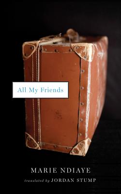 All My Friends by Marie NDiaye