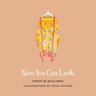 Now You Can Look by Anna Vaivare, Julia Bird