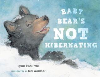 Baby Bear's Not Hibernating by Lynn Plourde, Teri Weidner