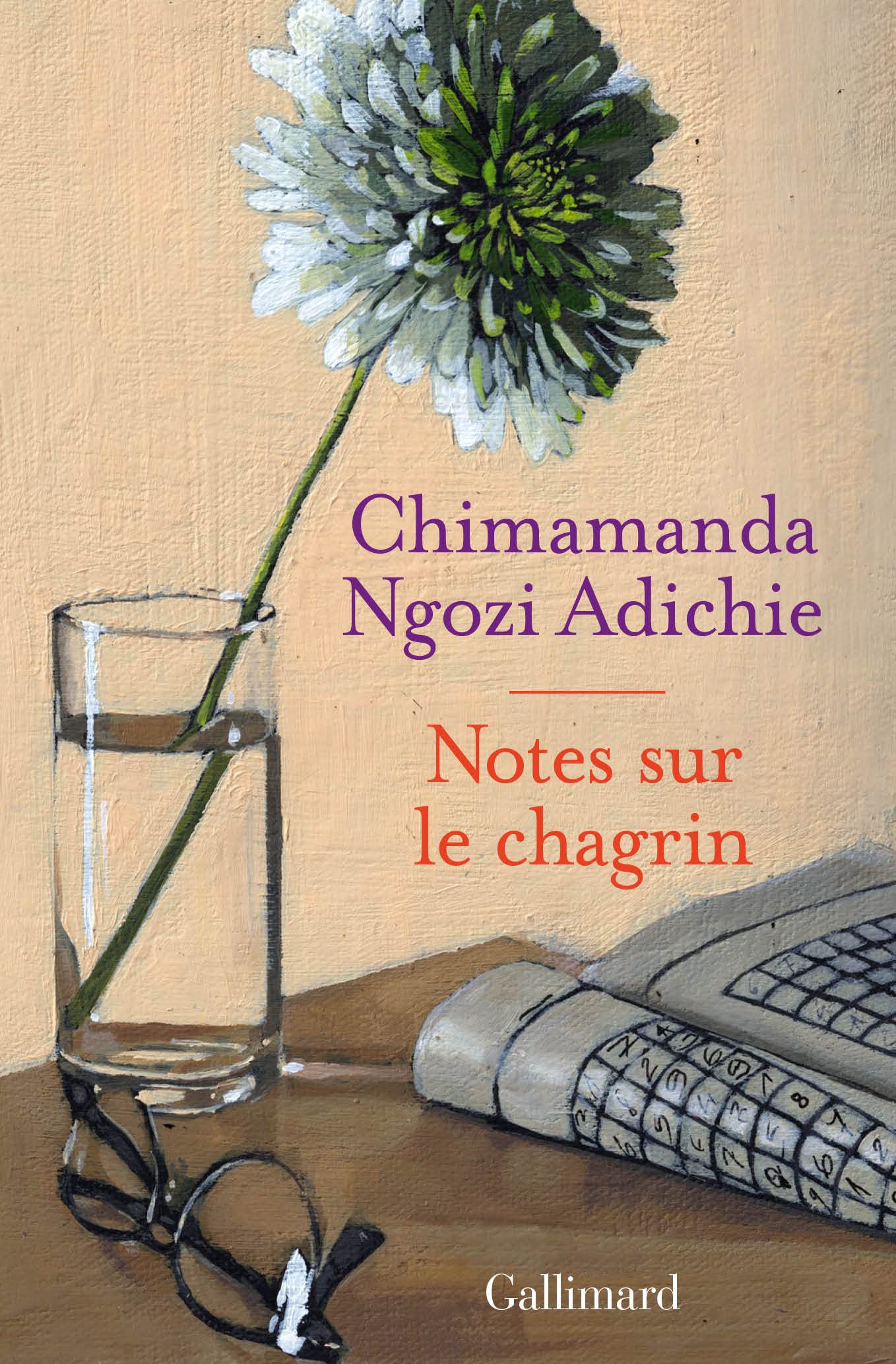 Notes sur le chagrin by Chimamanda Ngozi Adichie
