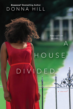A House Divided by Donna Hill