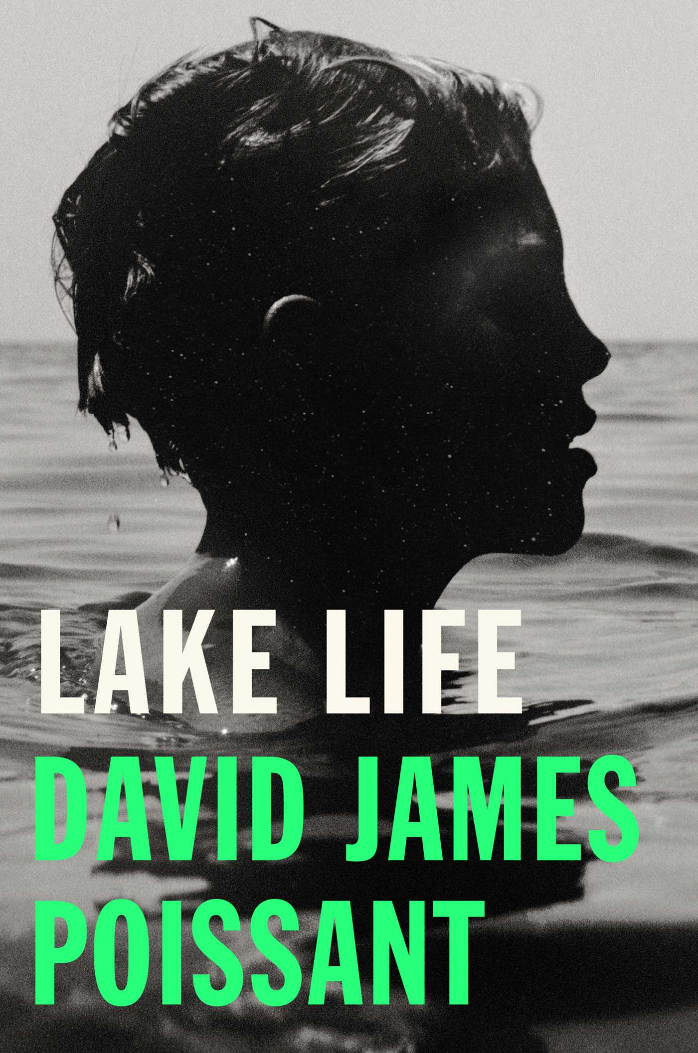 Lake Life by David James Poissant
