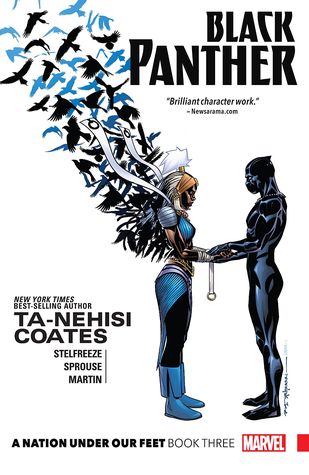 Black Panther, Vol. 3: A Nation Under Our Feet, Book 3 by Chris Sprouse, Brian Stelfreeze, Ta-Nehisi Coates
