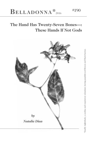 The Hand Has Twenty-Seven Bones—:These Hands If Not Gods by Natalie Diaz