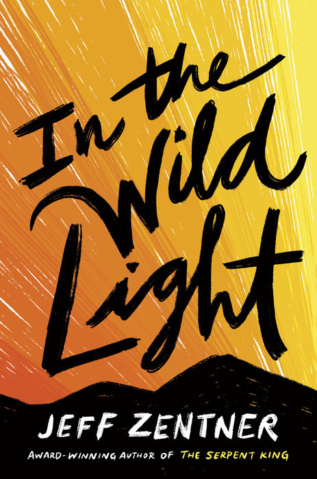 In the Wild Light by Jeff Zentner
