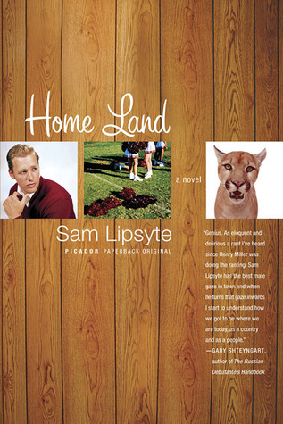Home Land by Sam Lipsyte