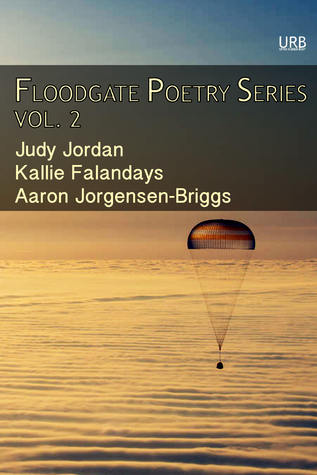 Floodgate Poetry Series Vol. 2: Three Chapbooks by Three Poets in a Single Volume by Andrew McFadyen-Ketchum, Judy Jordan, Kallie Falandays, Aaron Jorgensen-Briggs