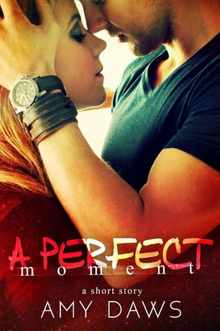 A Perfect Moment by Amy Daws
