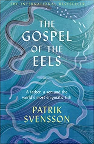 The Gospel of the Eels by Agnes Broomé, Patrik Svensson